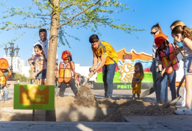 Un millón de árboles que solo existen en las redes sociales del gobierno neoleonés 17 samuel garcía