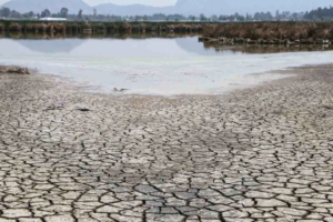 sequía