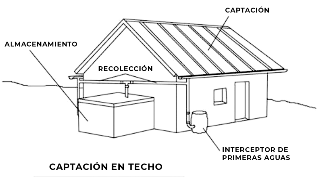 Cosecha de futuro: la captación de agua como pilar de resiliencia frente a la escasez en CDMX 11 image 572