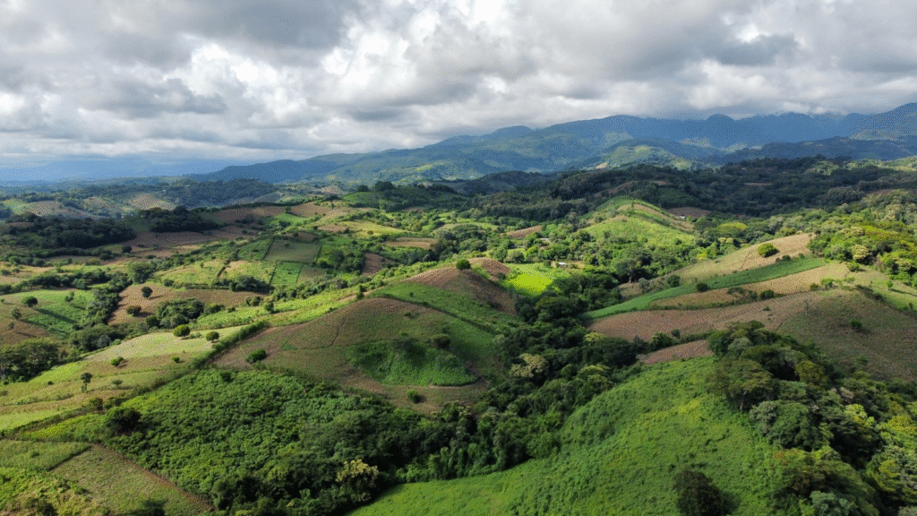 La iniciativa de la UICN y KfW enfocada en fortalecer la restauración forestal en América Latina 12 image 66