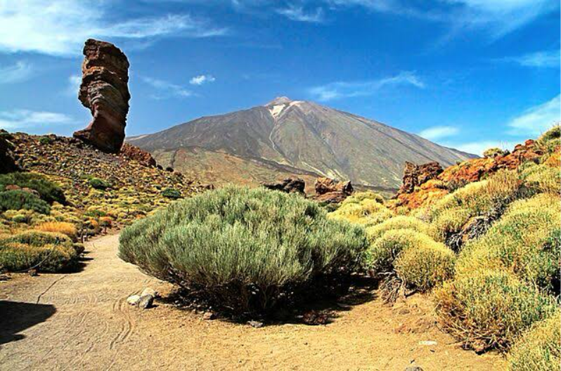 Tenerife apuesta por la conservación: aplicará un ecoimpuesto en el Parque Nacional del Teide 12 image 81