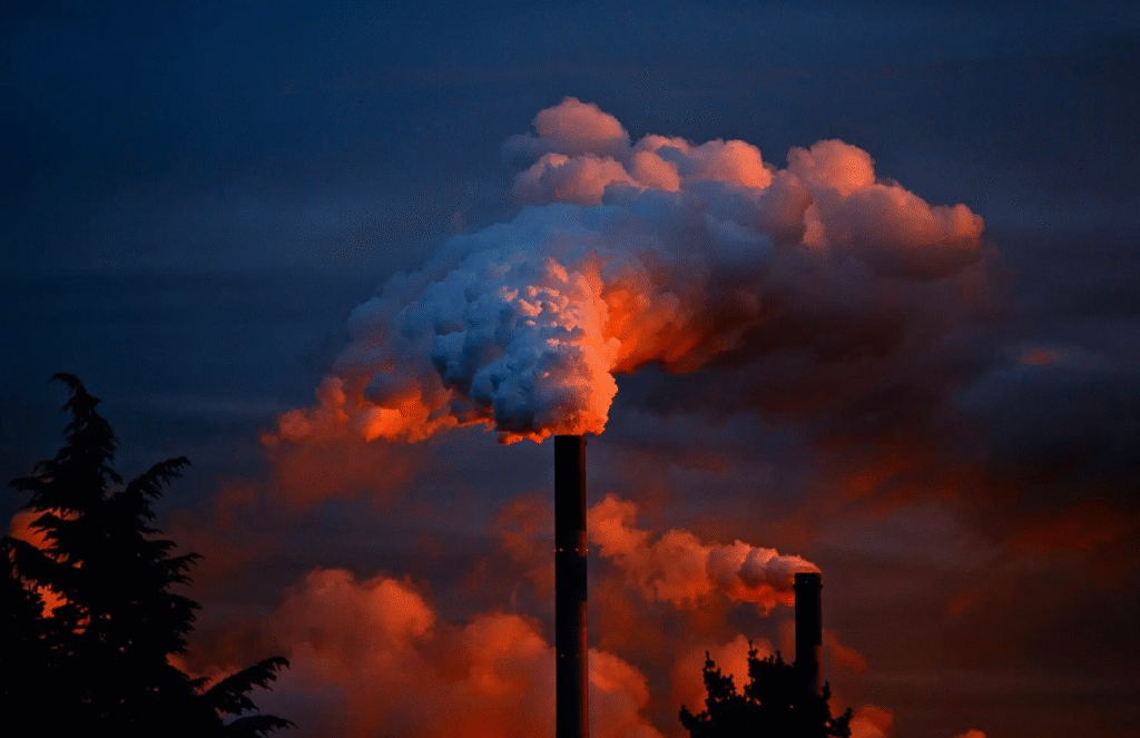 Grandes petroleras apenas invierten en energías renovables: solo 1,42% de los proyectos 12 image 83