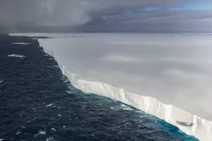 El iceberg más grande de la tierra podría chocar con el Atlántico sur 11 imagen 1 12