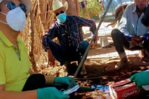 Ciencia ciudadana: monitoreo ambiental local