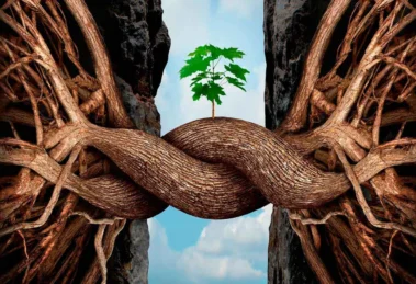 Resiliencia ecológica ¿Cómo se mide? 16 Resiliencia ecológica ¿Cómo se mide?