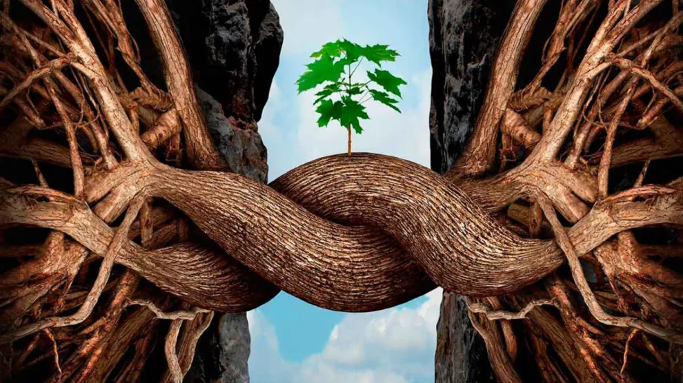 Resiliencia ecológica ¿Cómo se mide?