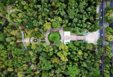 ¿Qué tan verde es tu colonia? El nuevo indicador clave de bienestar urbano 16 ¿Qué tan verde es tu colonia?