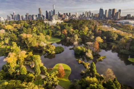 Biodiversidad Urbana
