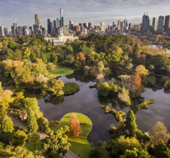 Biodiversidad Urbana