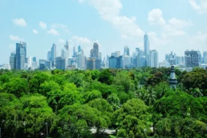 Reforestación urbana: ¿moda o necesidad?