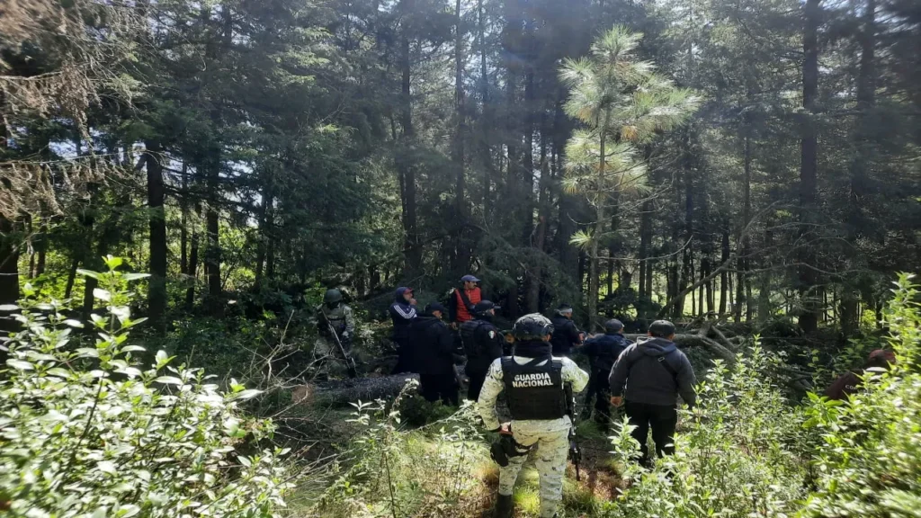 Fortalecimiento de la vigilancia ambiental: La Guardia Nacional se integra a la protección de áreas naturales 11 imagen 1 2025 12 05T100436.133