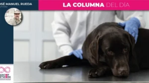 Ahora hasta los animales se quedan sin medicinas