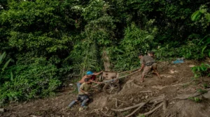 La minería ilegal devasta selvas peruanas