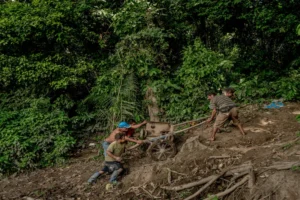 La minería ilegal devasta selvas peruanas