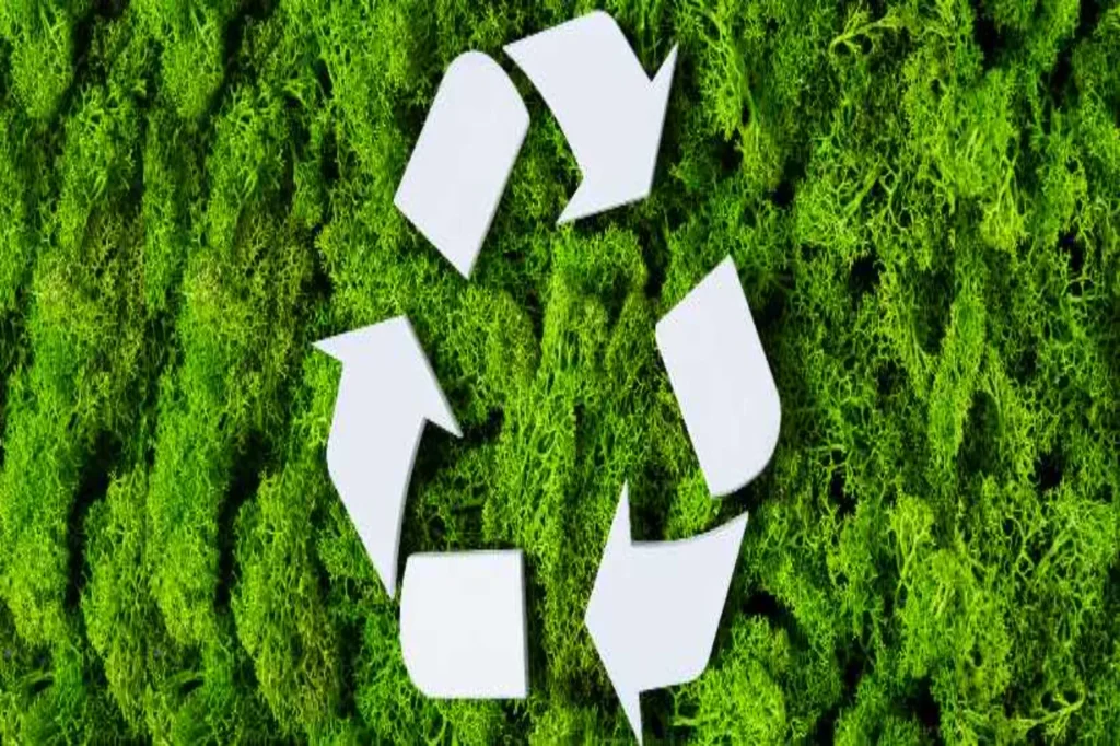 El futuro ambiental depende de las decisiones locales 11 imagen 1 2025 12 15T101444.227