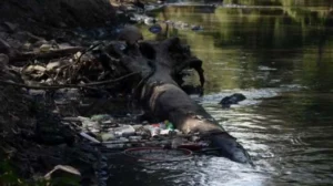 La peor amenaza del Atoyac no está regulada por la NOM-001