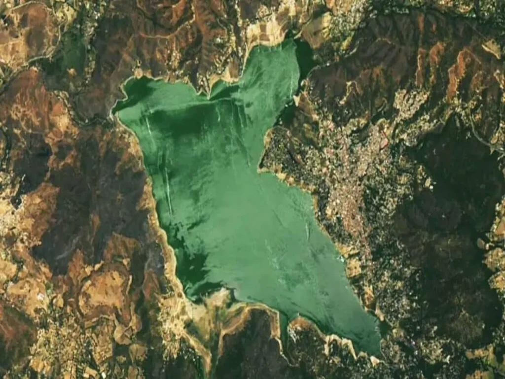 imagen 1 2025 12 17T103512.877