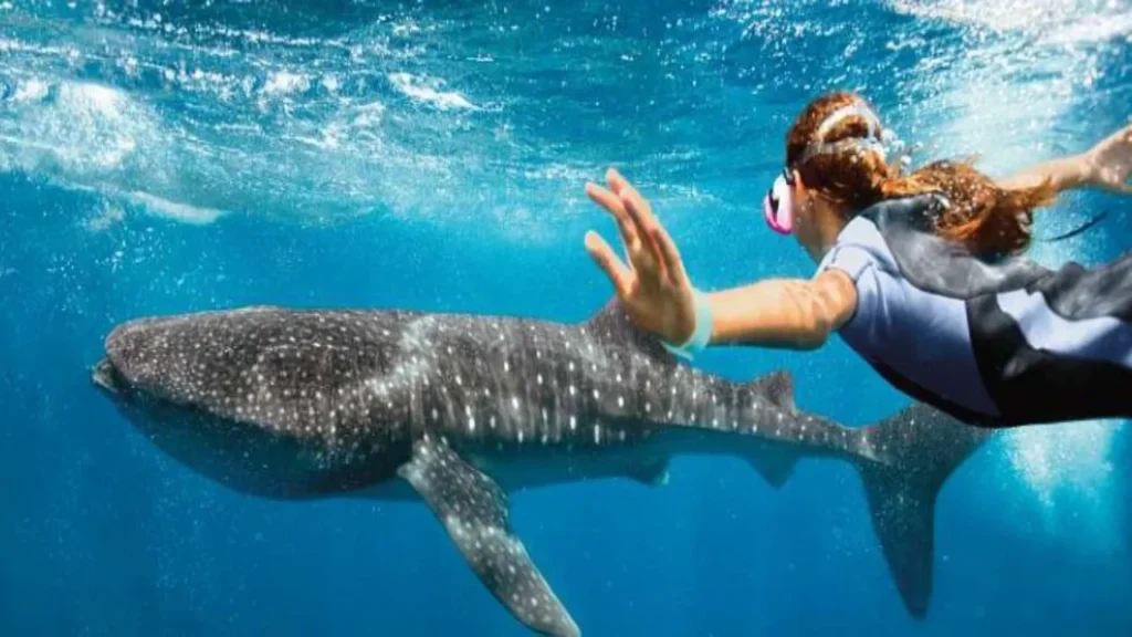 imagen 1 2025 12 19T105855.850