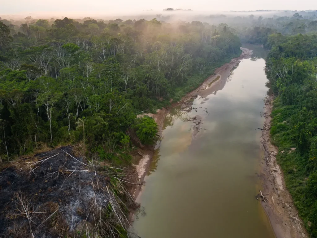 imagen 1 2025 12 23T104737.875