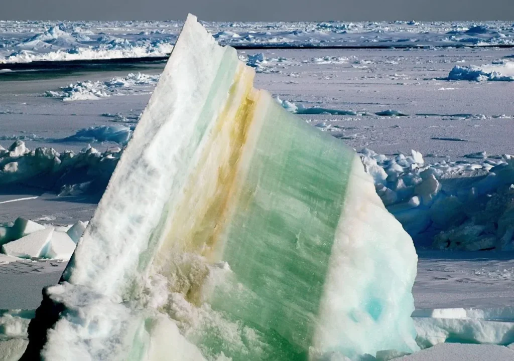 Investigadores de Stanford descubren movimiento activo de diatomeas en el hielo marino ártico 11 imagen 1 21 1