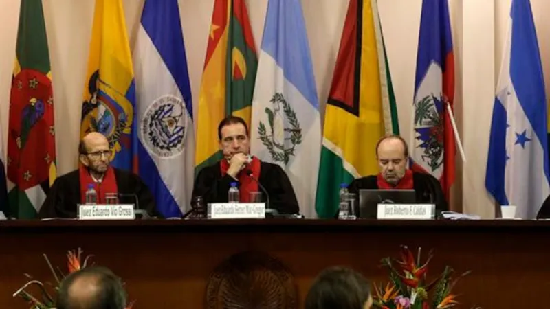 La Corte Interamericana de Derechos Humanos responsabiliza a los Estados de América por combatir el cambio climático 11 imagen 1 35