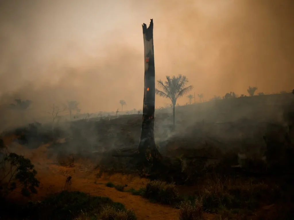 Récord histórico de CO₂: el planeta alcanza niveles sin precedentes por el uso de combustibles fósiles 12 imagen 1 37