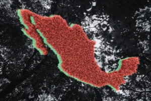 84 defensores ambientales asesinados en México desde 2016: lo que debes saber  13 imagen 1 50