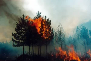 Destinos turísticos de costa fallan en comunicar el cambio climático 14 imagen 1 51