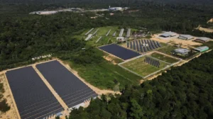 Amazonía libre de fósiles: el primer paso hacia un planeta que respira