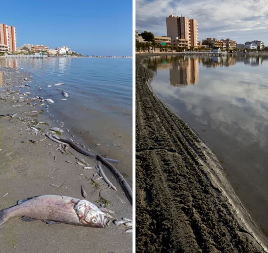 Mar Menor enfrenta la contaminación con plan de restauración y reconocimiento de la ONU 12 Mar Menor