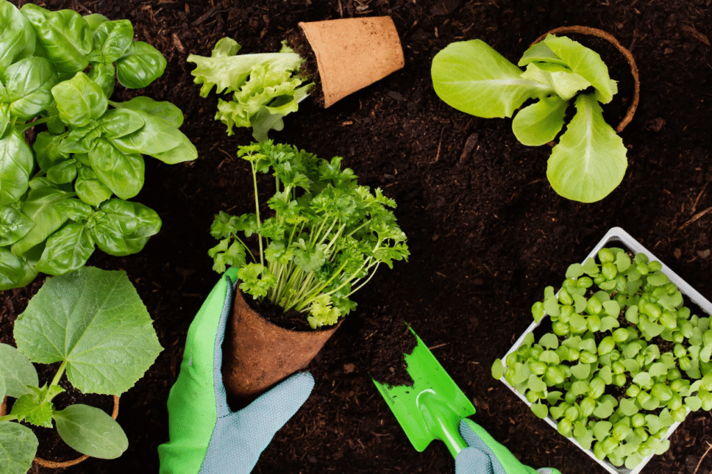 Agroecología urbana: ciencia y comunidad que transforman las ciudades 9 imagen 1ans