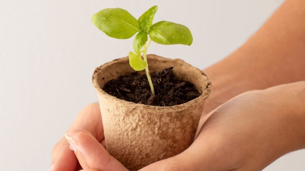 Ciclos de Vida y Naturaleza: Una nueva iniciativa legislativa en el Estado de México 11 imagen 1ansd