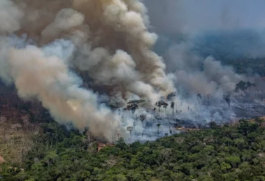 Incendio en la COP Amazonia 2025 obliga a evacuar y México reafirma compromisos climáticos en plena tensión global 14 incendio
