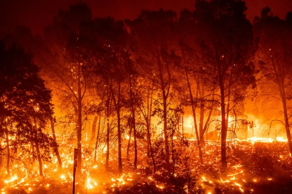 Mega incendios: la nueva era del fuego que amenaza nuestros bosques 11 incendios forestales 2