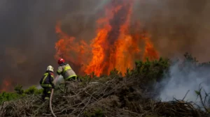 incendios forestales