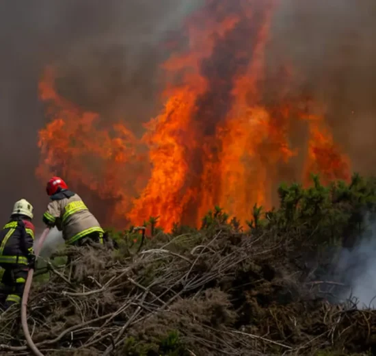 Mega incendios: la nueva era del fuego que amenaza nuestros bosques 12 incendios forestales