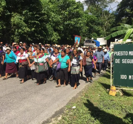Comunidades indígenas: la primera línea en la defensa del territorio en México 12 indigenas 1