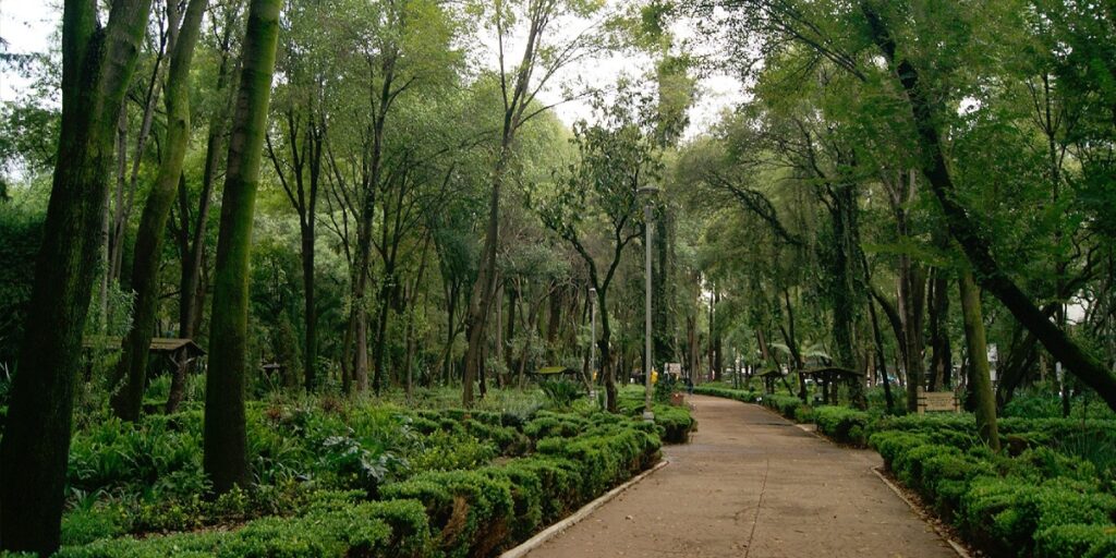 Ranking de Alcaldías verdes en CDMX 11 PARQUE