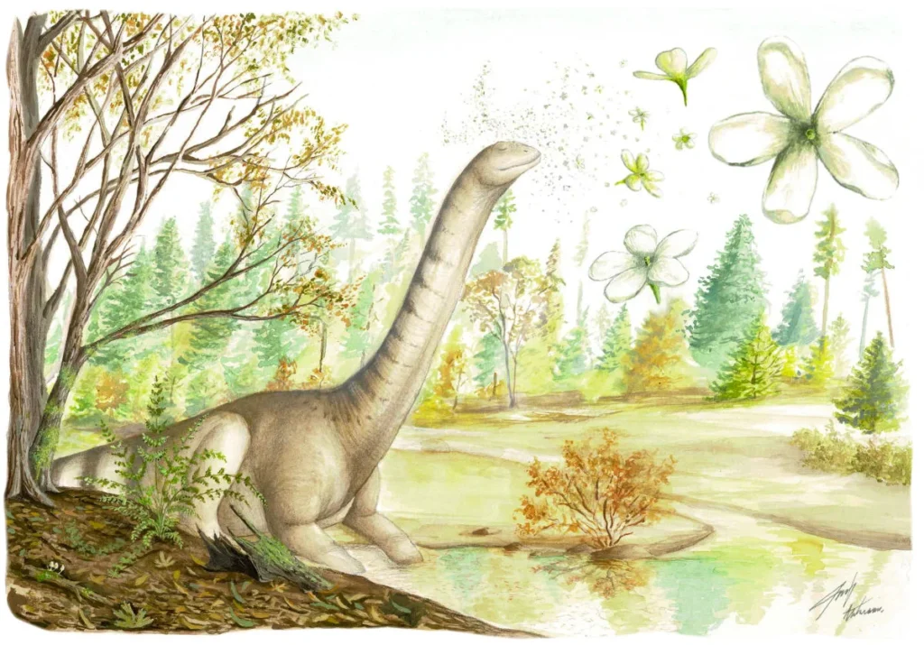 nueva especie patagoflora minima 03