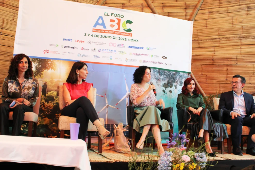 Financiamiento climático en México: urge transformar el sistema financiero para enfrentar la crisis 11 Financiamiento