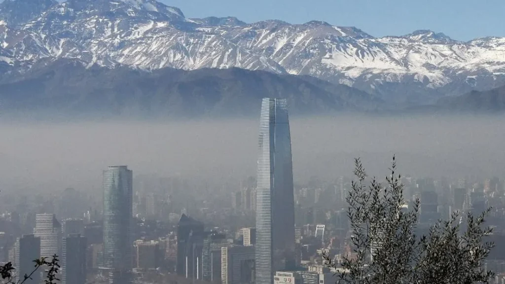 Promesas verdes al aire: los programas presidenciales olvidan la biodiversidad y la voz ciudadana 11 presidenciales 2
