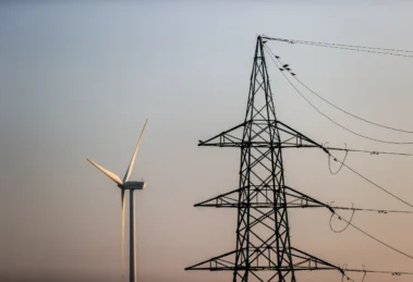 Pese al potencial renovable: el 97% de las naciones fracasó en fijar metas de cero 12 renovable