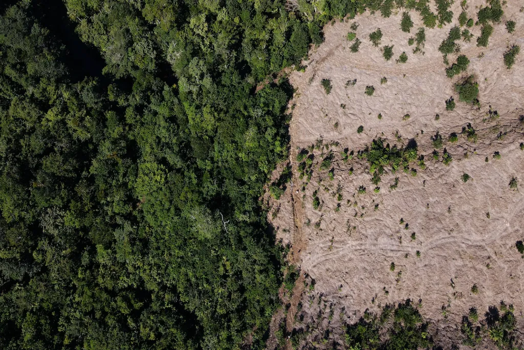 La iniciativa de la UICN y KfW enfocada en fortalecer la restauración forestal en América Latina 11 restauración