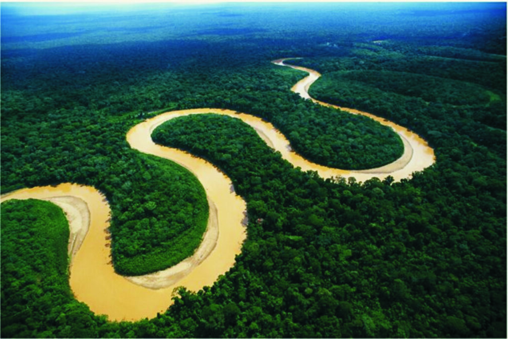 La vida natural en juego: exploración de petróleo frente al Amazonas 11 rio amazonas