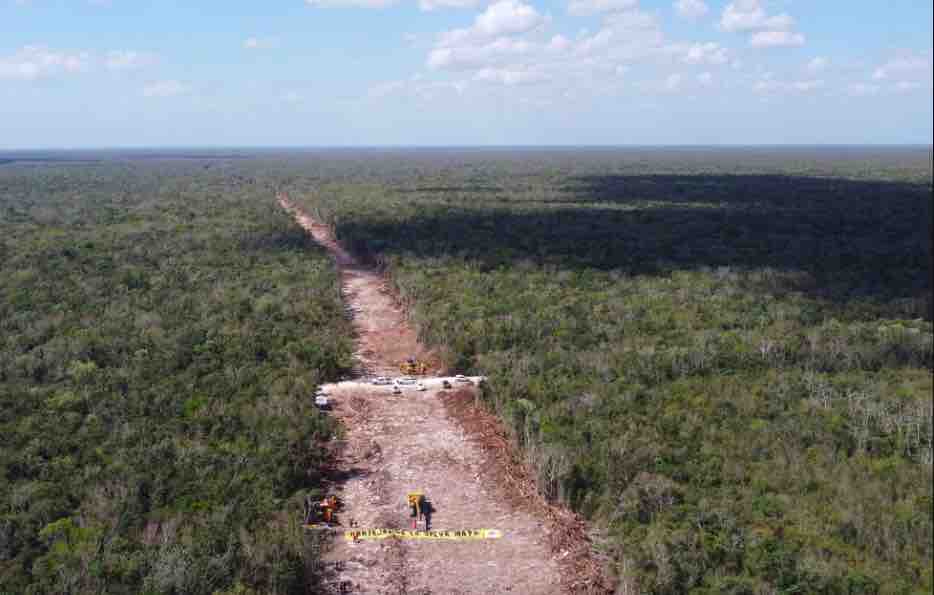 selva maya aunque nos cueste la vida