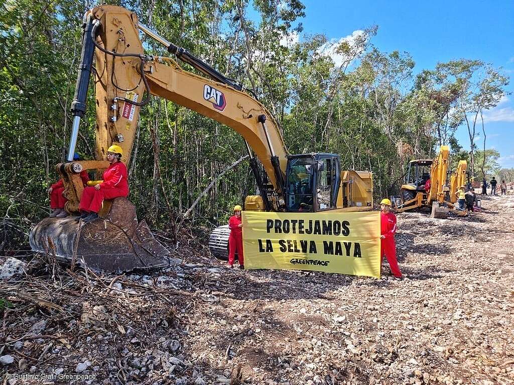 La selva maya comienza a sanar tras el cierre de la mina Calica en Quintana Roo 10 selva maya