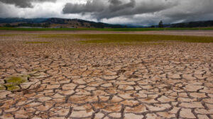 sequía