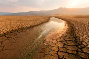 sequía ambiental