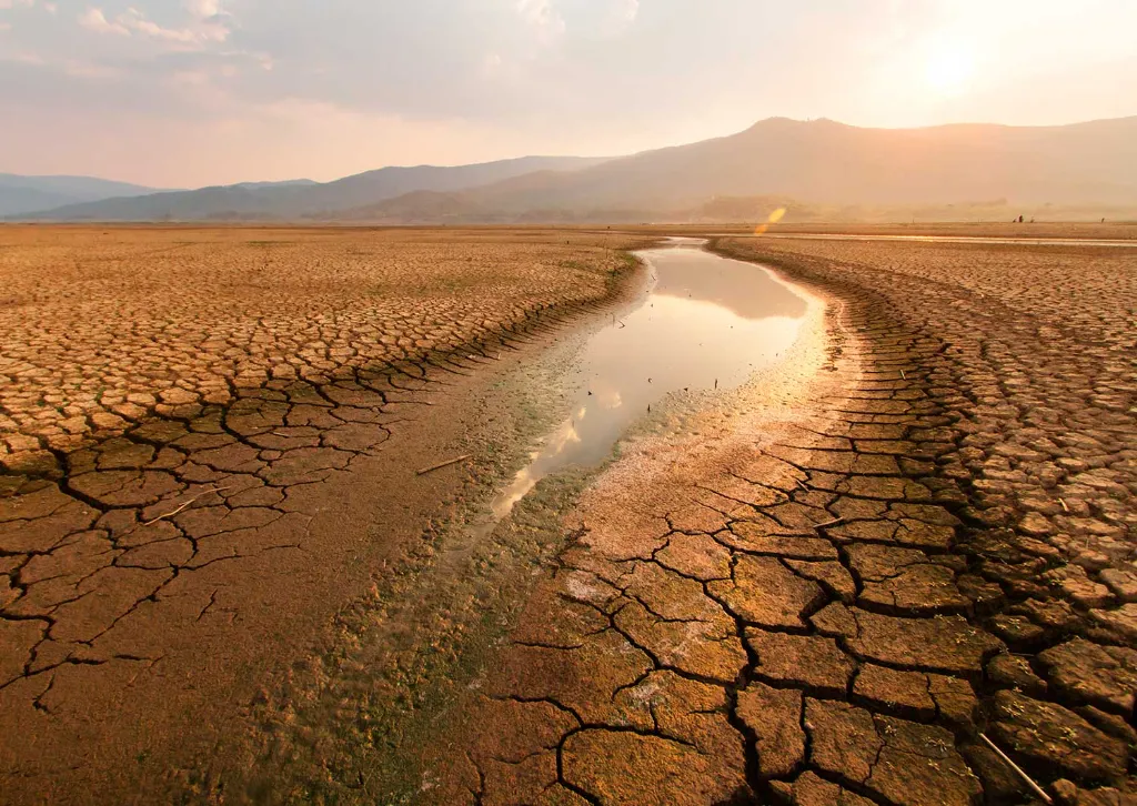 La Biotecnología es una herramienta científica que se puede emplear contra las sequias 11 sequía ambiental