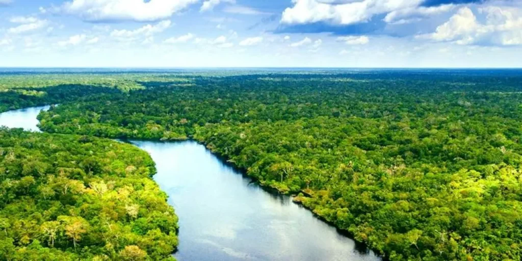 Presupuesto ambiental 2026: ¿suficiente? 11 sociedad civil 2